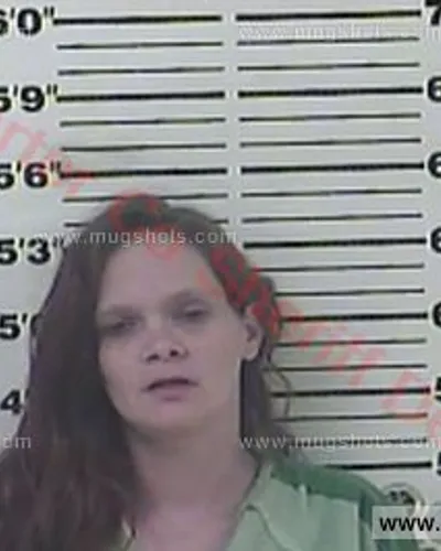 Booking photo of April Taunton, Carter County, Apr 2, 2016