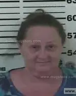 Booking photo of WENDY LYNNE HEATON-HOLDEN Heaton, Carter County, Aug 7, 2013