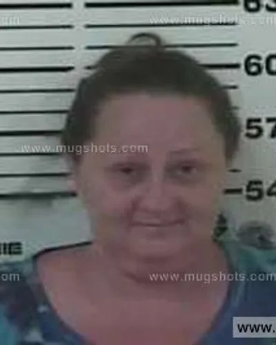 Booking photo of WENDY Heaton, Carter County, Aug 7, 2013