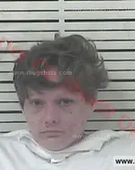 Booking photo of Laurel Kathleen Keever, Carter County, Sep 29, 2017