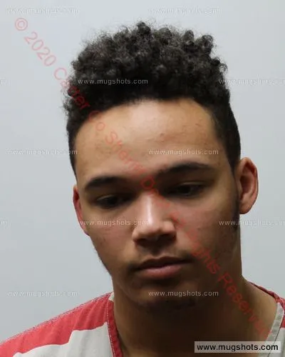 Booking photo of Tyler Warren, Carter County, Jan 6, 2020