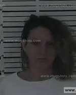 Booking photo of Heather Beth Williams, Carter County, Aug 21, 2014