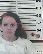 Booking photo of Elizabeth Ashley Pleasant, Carter County, Feb 8, 2016