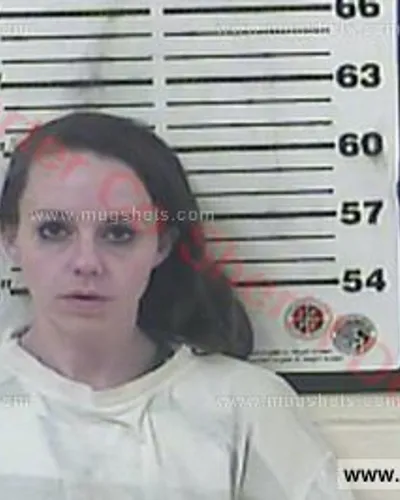 Booking photo of Elizabeth Ashley Pleasant, Carter County, Feb 8, 2016