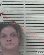 Booking photo of Sarah C. Baily, Carter County, Aug 30, 2017