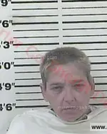 Booking photo of Lori Jean Sansom, Carter County, Jun 5, 2016