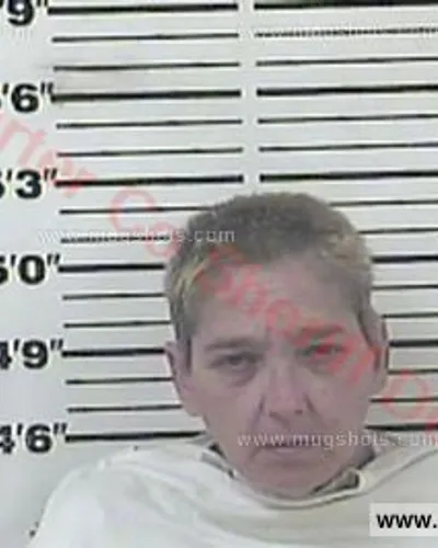 Booking photo of Lori Jean Sansom, Carter County, Jun 5, 2016