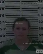 Booking photo of Ashley Desirae Williams, Carter County, Jan 27, 2015