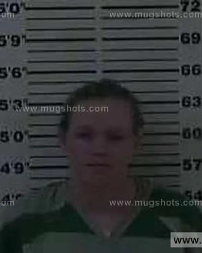 Booking photo of Ashley Desirae Williams, Carter County, Jan 27, 2015