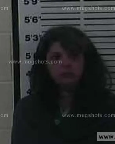 Booking photo of Babette Brauner, Carter County, Feb 8, 2015