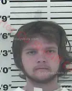 Booking photo of Sebastian Christian-Dominque Wilmoth, Carter County, Feb 3, 2018