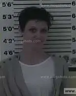 Booking photo of Terri Lynne Simerly, Carter County, Oct 25, 2014