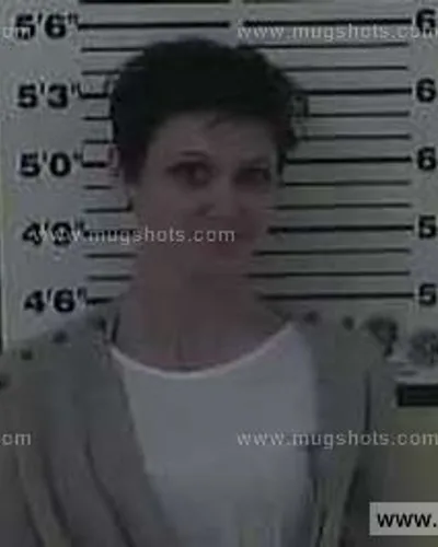 Most recent booking photo for Terri Lynne Simerly