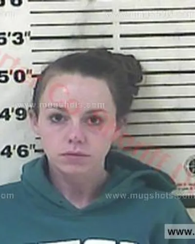 Booking photo of Elizabeth Ashley Pleasant, Carter County, Dec 16, 2015