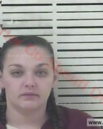 Booking photo of Linda Lee Holsclaw, Carter County, Aug 6, 2017