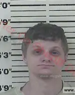 Booking photo of Steven Allen Ray Dowell, Carter County, Jun 10, 2017