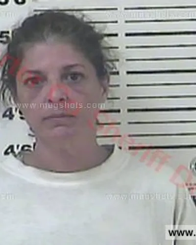 Most recent booking photo for Babette Marie Brauner