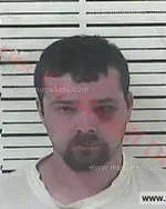 Booking photo of Justin Lee Mcclemons, Carter County, Aug 30, 2017