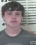 Booking photo of Austin Blake Simpson, Carter County, Aug 24, 2015