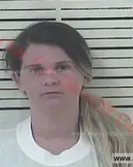 Booking photo of Ashley Dusty Stevens, Carter County, Aug 11, 2017