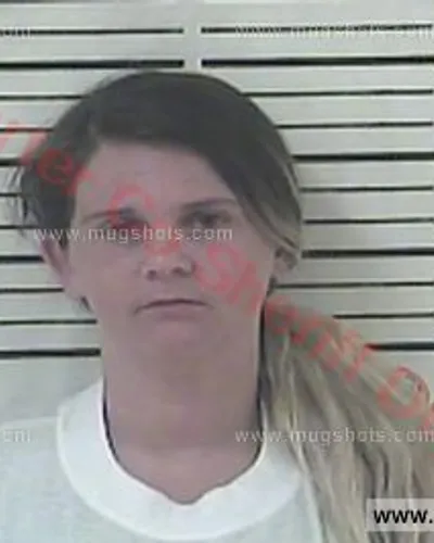 Booking photo of Ashley Dusty Stevens, Carter County, Aug 11, 2017