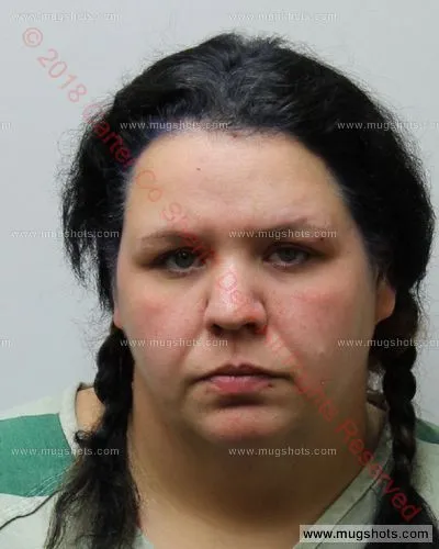 Booking photo of Virginia Williamson, Carter County, Dec 2, 2018