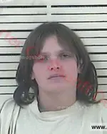 Booking photo of Sarah Jane Gibson, Carter County, Nov 22, 2016