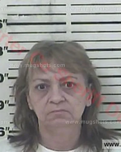 Booking photo of Karen Denise Stout, Carter County, Dec 12, 2017