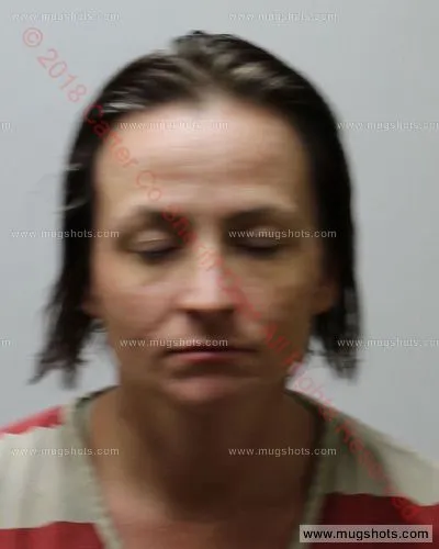 Booking photo of Mary Tolley, Carter County, Nov 29, 2018
