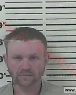 Booking photo of Stevie Dayton Parlier Jr., Carter County, Jul 12, 2017