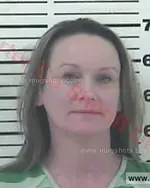 Booking photo of April Michelle Adams, Carter County, Feb 10, 2018