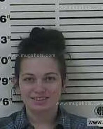 Booking photo of Whitney Nicole Taylor, Carter County, Feb 4, 2014