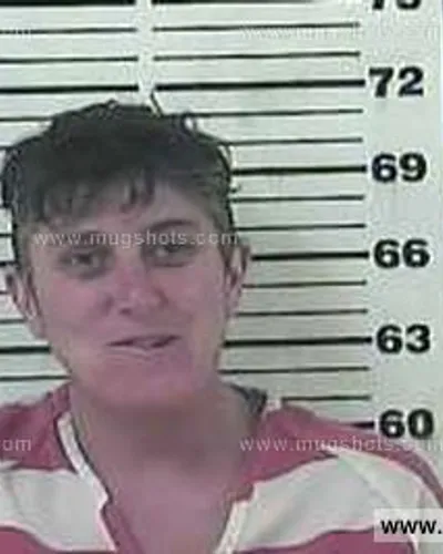 Most recent booking photo for Susanne Leigh Harrison