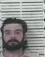 Booking photo of Travis Gene Davis, Carter County, May 29, 2015