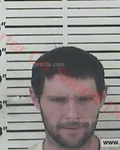 Booking photo of Terry Lynn Campbell, Carter County, Nov 2, 2017