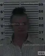 Booking photo of Lisa Hatley Day, Carter County, Aug 12, 2014