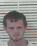 Booking photo of Trenity Miles Largent, Carter County, Jun 4, 2016
