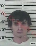 Booking photo of Kristopher Michael Collins, Carter County, May 15, 2017