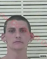 Booking photo of Logan Chad Guinn, Carter County, Sep 24, 2016