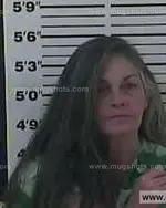 Booking photo of Elizabeth Jennette Collins, Carter County, Jan 21, 2014