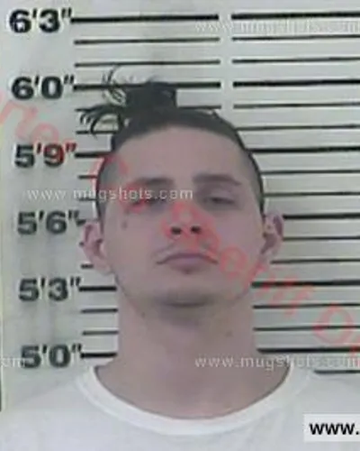 Booking photo of LARRY PALLADINO, Carter County, Jun 3, 2018