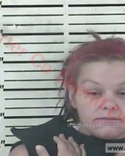 Booking photo of Katie Lynn Harrell, Carter County, Aug 6, 2017