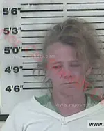 Booking photo of Shannon Renee Stevens, Carter County, Jun 10, 2018