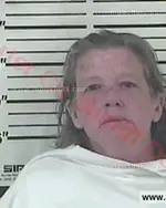 Booking photo of Sonja Lorriane Holtsclaw, Carter County, Aug 18, 2017