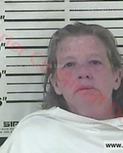 Booking photo of Sonja Lorriane Holtsclaw, Carter County, Aug 18, 2017