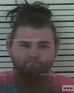 Booking photo of Dustin Dale Parlier, Carter County, Feb 3, 2014