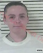 Booking photo of Nicole Hattie-Alicia Baumgardner, Carter County, Jun 14, 2016