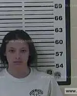 Booking photo of Elizabeth Nicole Riddle, Carter County, Apr 3, 2014