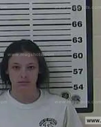 Booking photo of Elizabeth Nicole Riddle, Carter County, Apr 3, 2014