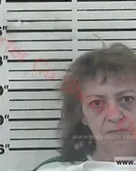 Booking photo of Karen Denise Stout, Carter County, Nov 1, 2017